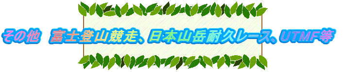 その他　富士登山競走、日本山岳耐久レース、UTMF等　